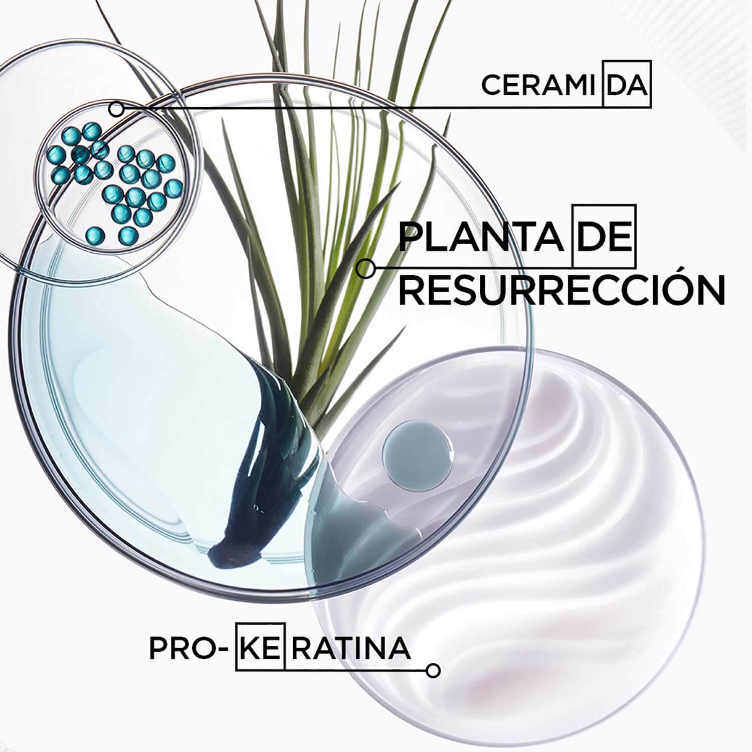 Kerastase Bain Force Architecte RESISTANCE FORCE ARCHITECT 250ml