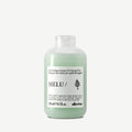 Davines Melu Shampoo Anti-Rotura 250ml